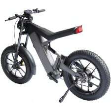 Electric bike for sale