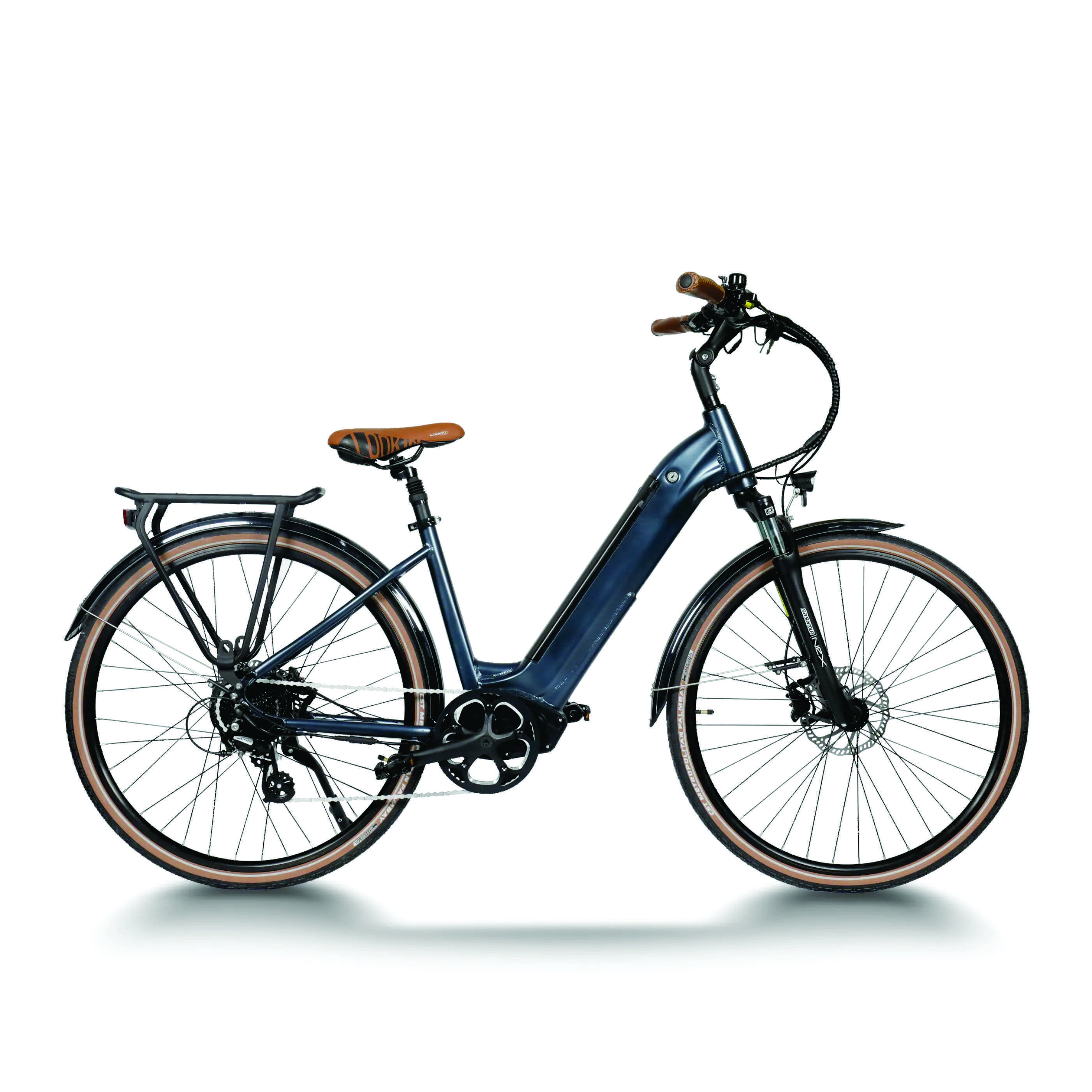 250W Motor Electric Bike