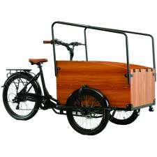 Cargo e bike